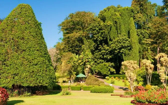 Royal Botanical Gardens Peradeniya